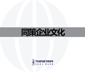 致客戶的承諾——做值得托付的房地產智囊\n副標題 某房地產咨詢服務公司企業文化重塑行動綱要文件（內部審核版）\n\n**第2-3頁 我們的行業信念**\n? 房地產不僅是鋼筋水泥，更是城市靈魂的載體。“我們尊重每一塊土地的基因。”\n? 唯一不變的是變化與專業。核心命題 從增長邏輯轉向價值邏輯的生存之道。\n\n**第4-5頁 使命定義**\n我們存在的根本原因 “賦能不動產全周期，讓投資回歸價值本質。”（注 在供給側改革與去金融化大背景下，幫助客戶甄別泡沫，專注抗周期真理。）\n\n**第6-8頁 戰略