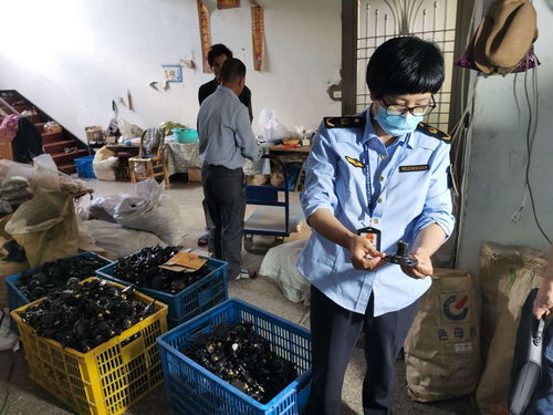 浙江發布打擊侵權假冒商品典型案例，化妝品批發領域成重點